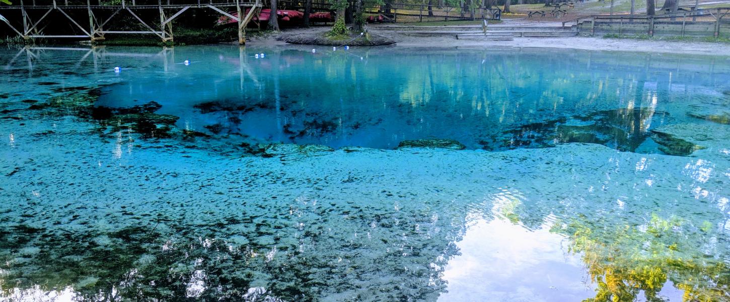 a large blue spring surrounded by a boardwalk