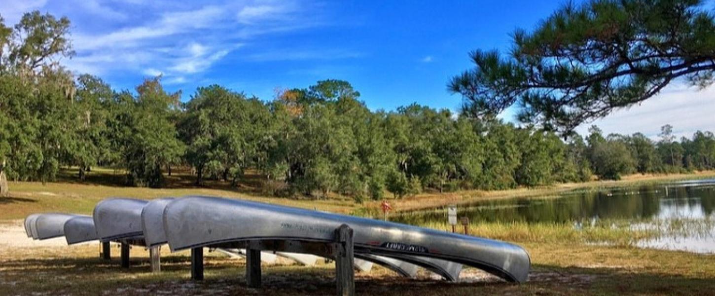 A row of canoes sits on the banks of a lake ringed by trees.