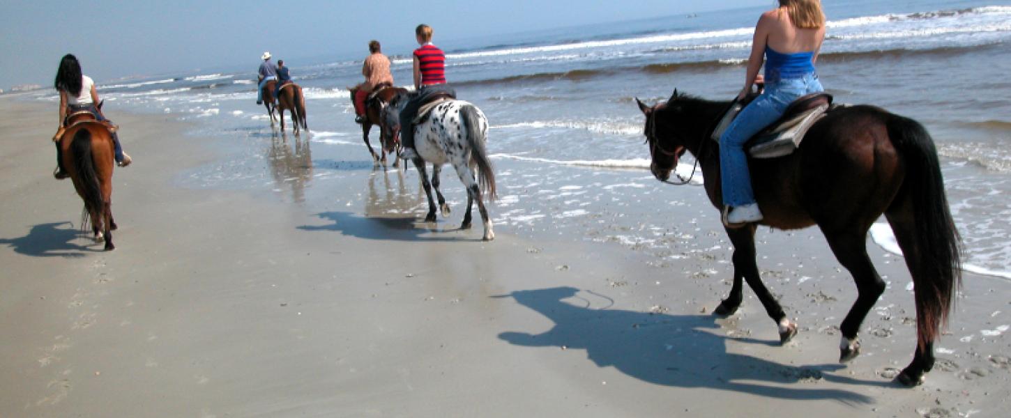 A group of people on horseback rides down a bright and sunny beach in the surf