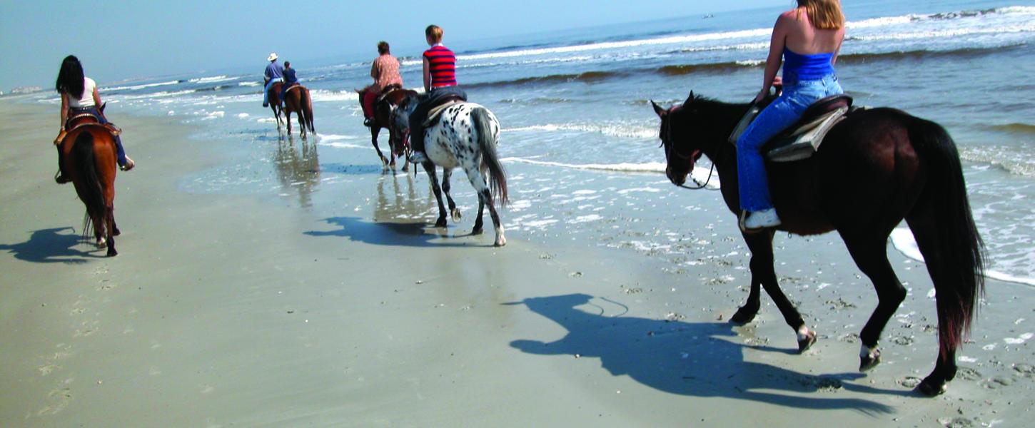 Amelia Island State Park Horseback Riders