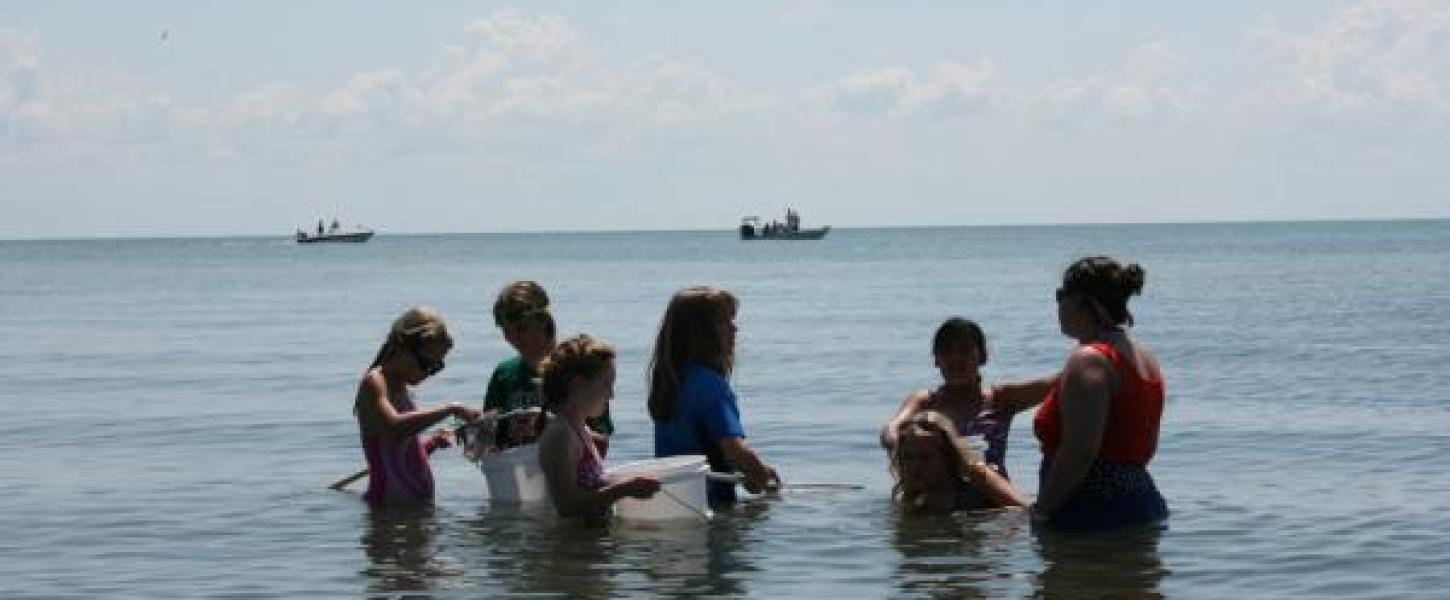 Children in the bay with nets and buckets