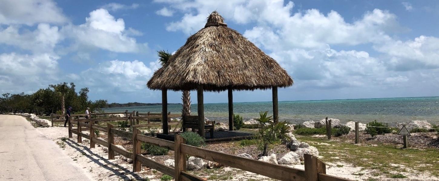 A view of the newly built tiki hut.