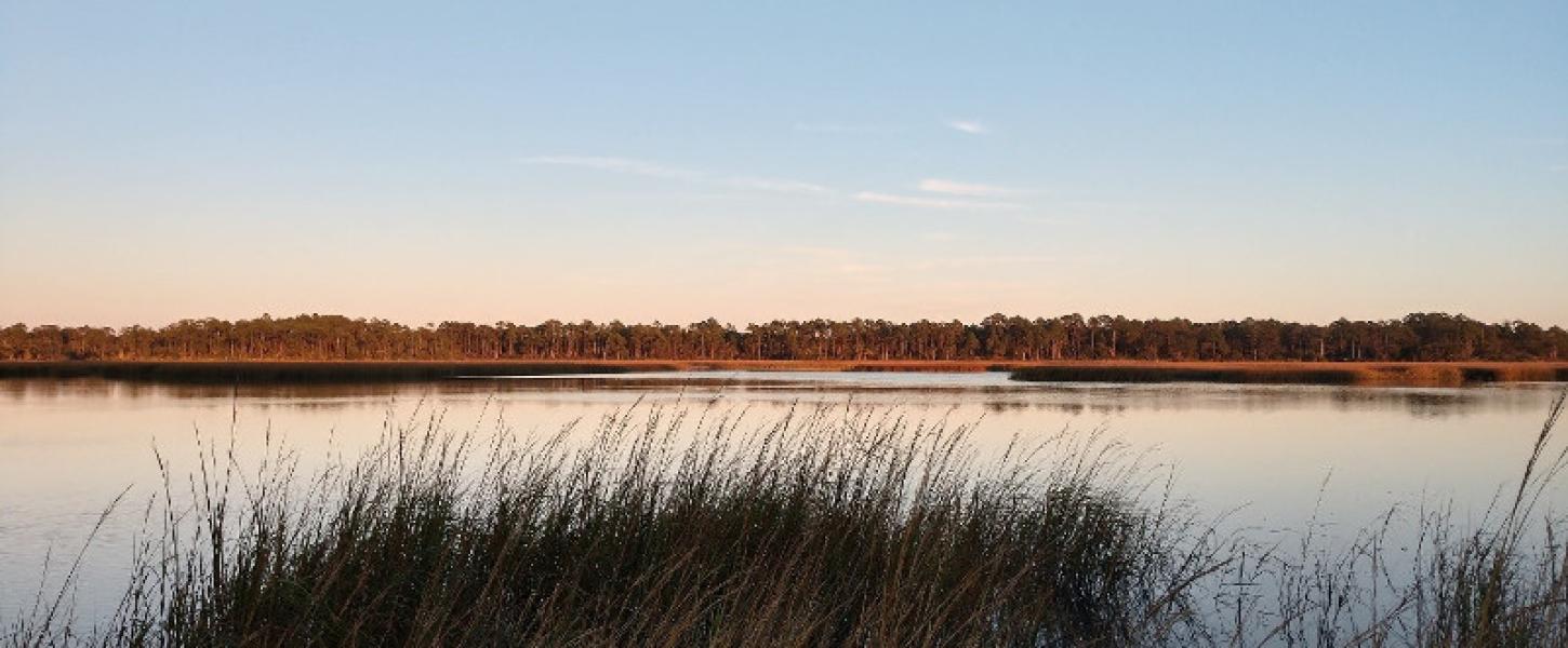 a moon rises over a grassy creek