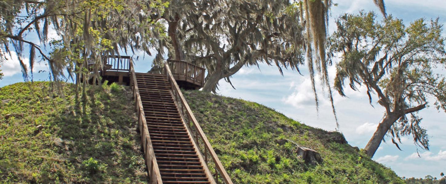 a long set of stairs leads up a large hill to an observation platform, surrounded by trees draped with spanish moss.