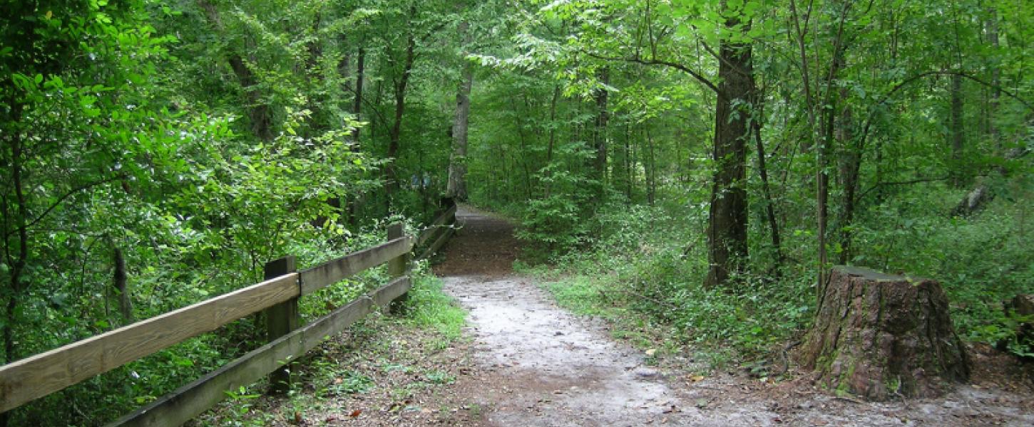 Image of the start of the Devil's Millhopper Nature Trail. A fence and green leafy trees line the trail.