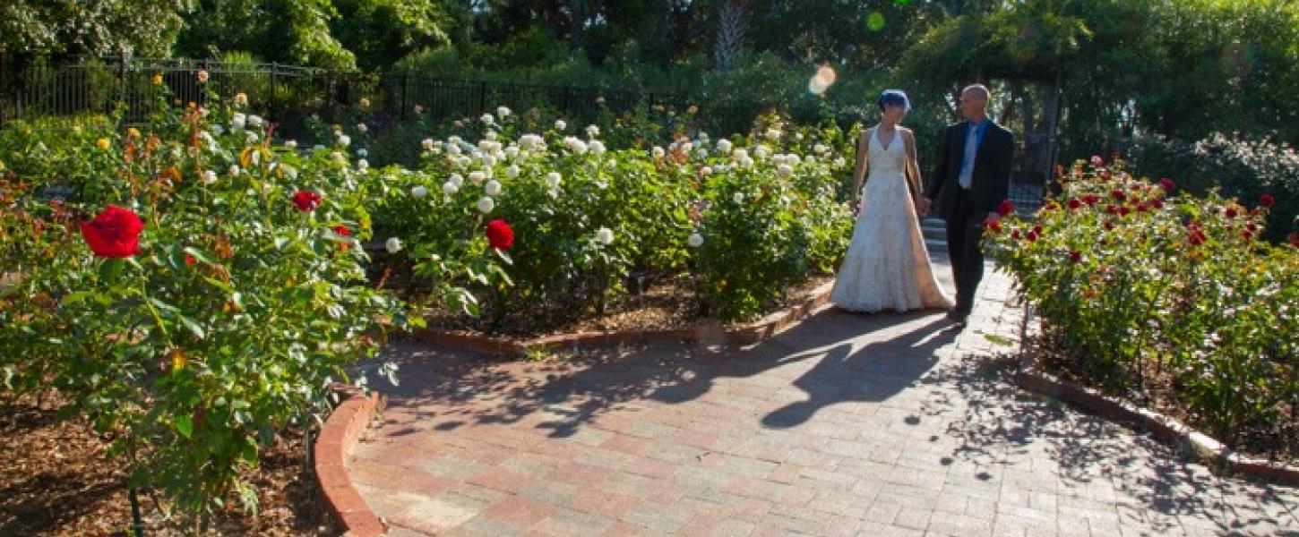 a couple stands in the garden in their wedding attire 