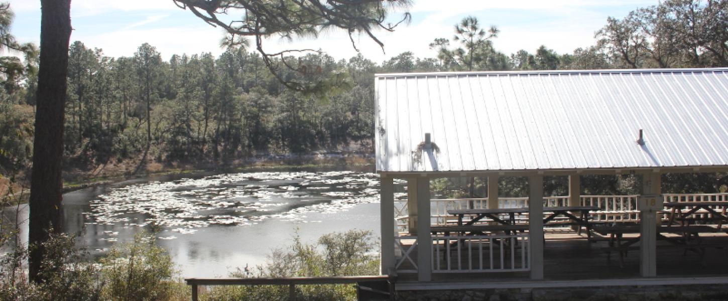 a covered picnic pavilion sits atop a bank next to a lake