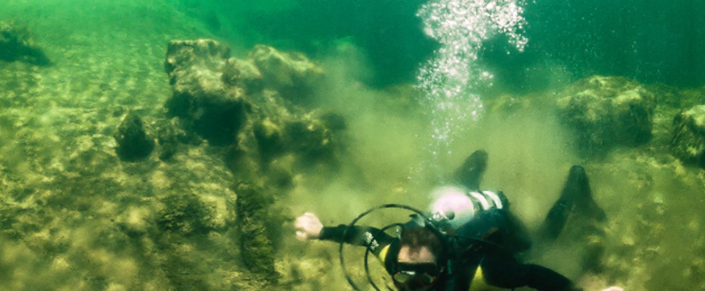 a diver swims below the surface in green water