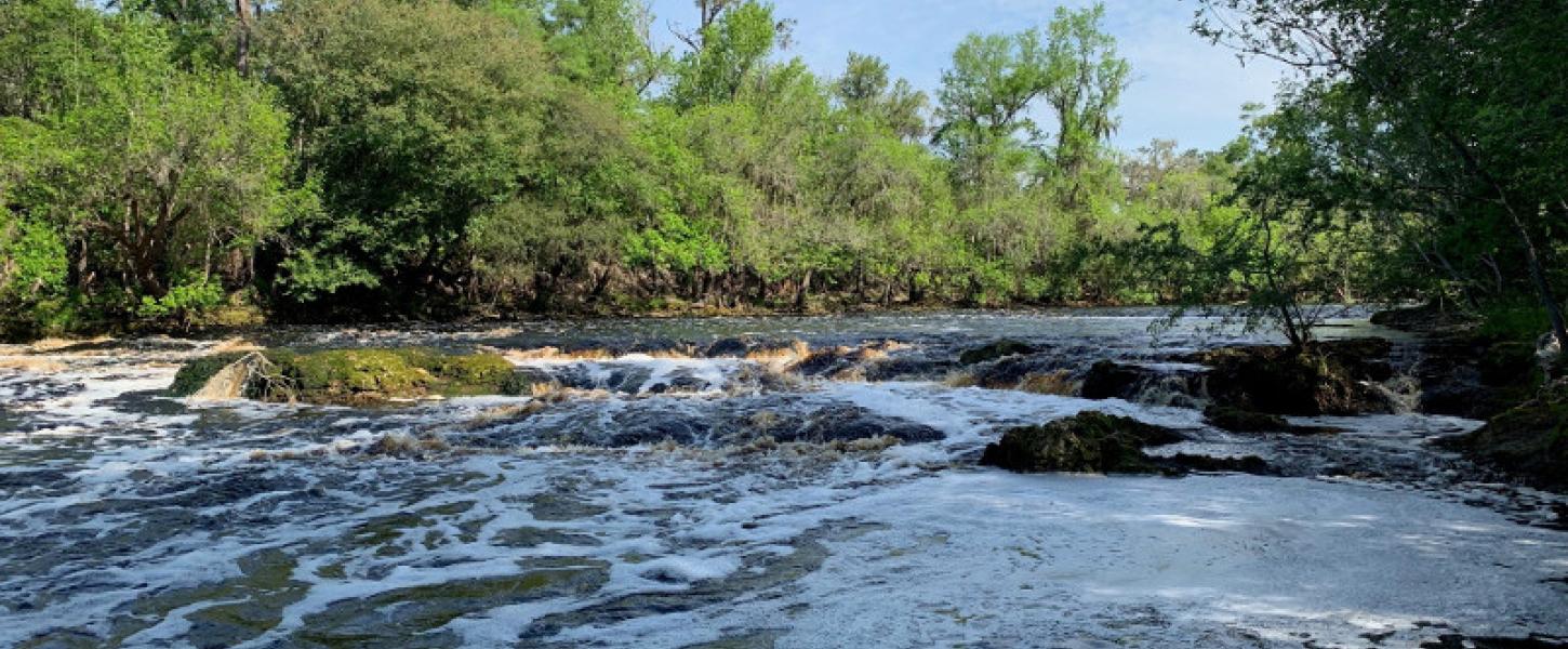 foamy white water flows past shoals in a river