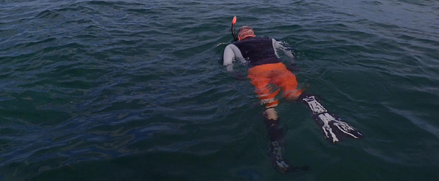 Snorkeling the San Pedro