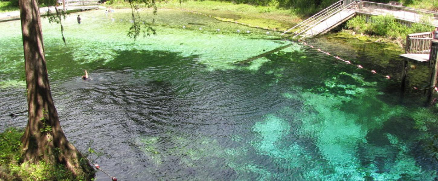 blue and green water mix in a spring with cypress trees and a swimming platform