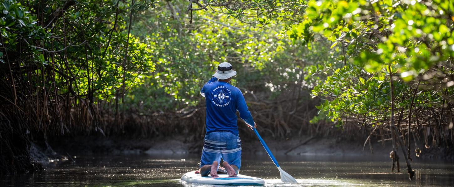 A man kneels while paddling a stand up paddle board through a mangrove tunnel.