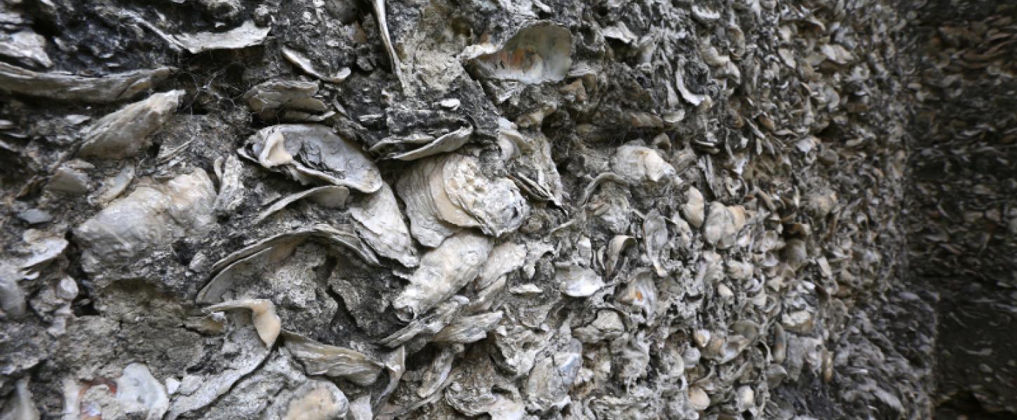 close up image of a concrete shell mix wall