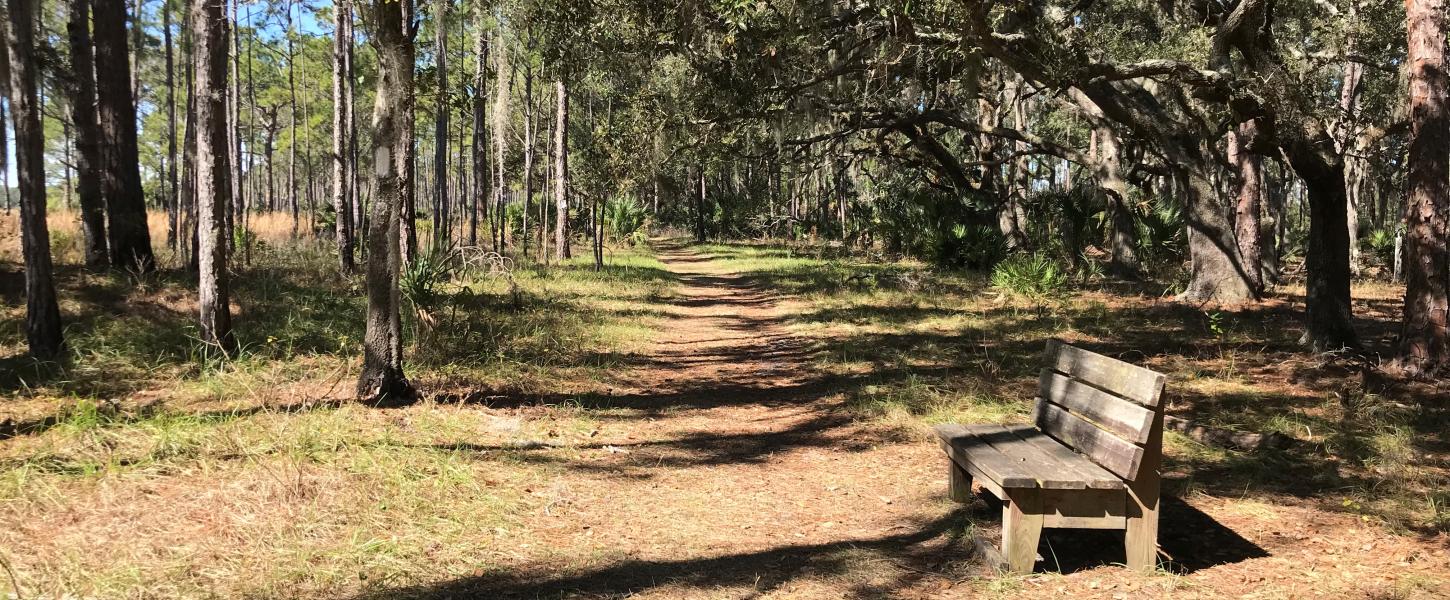 View looking down Buster Island Loop Trail.