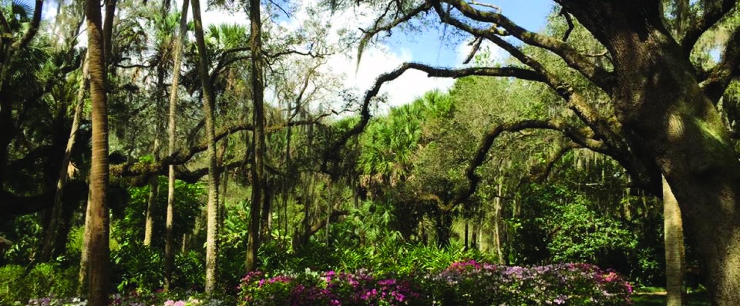 Washington Oaks Gardens State Park Florida State Parks