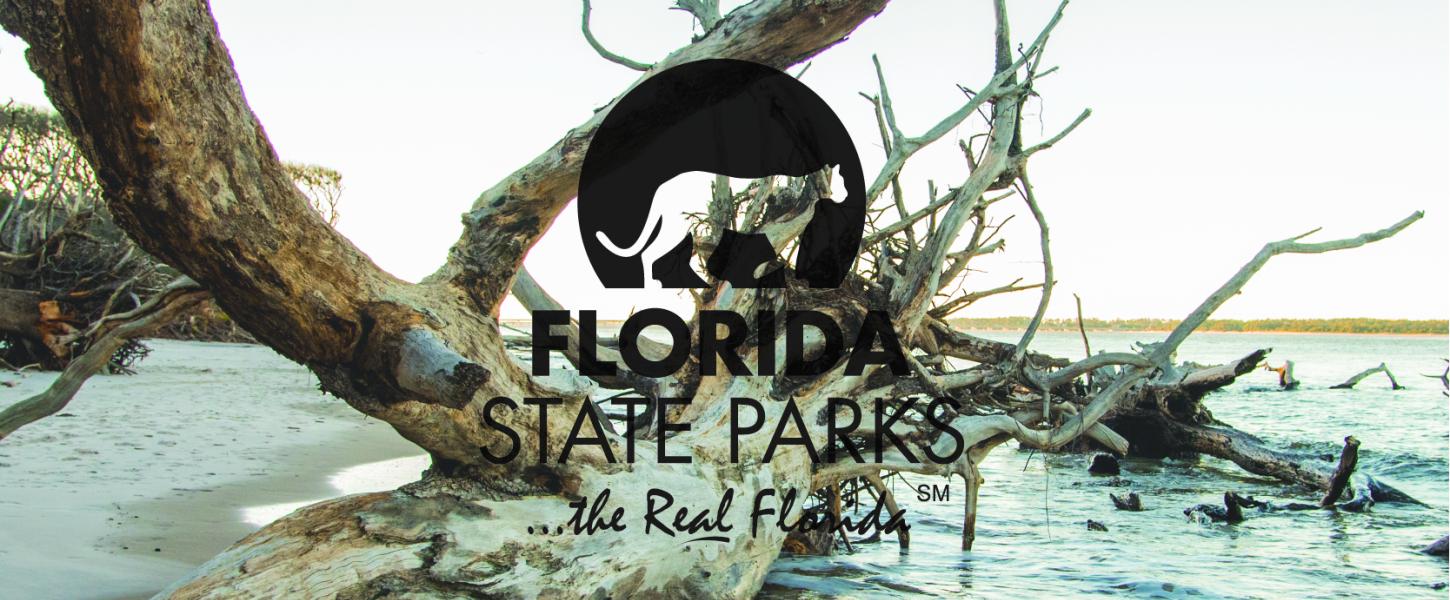 A large drift wood tree with the Florida State Parks logo