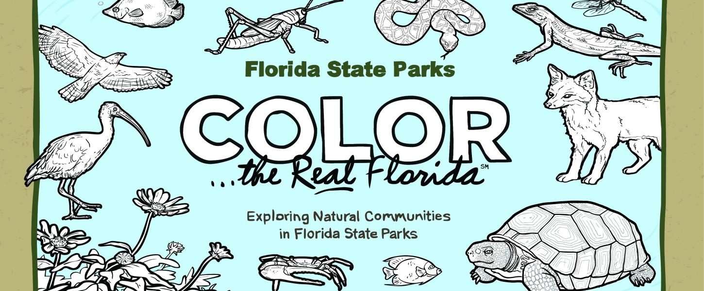 real coloring pages