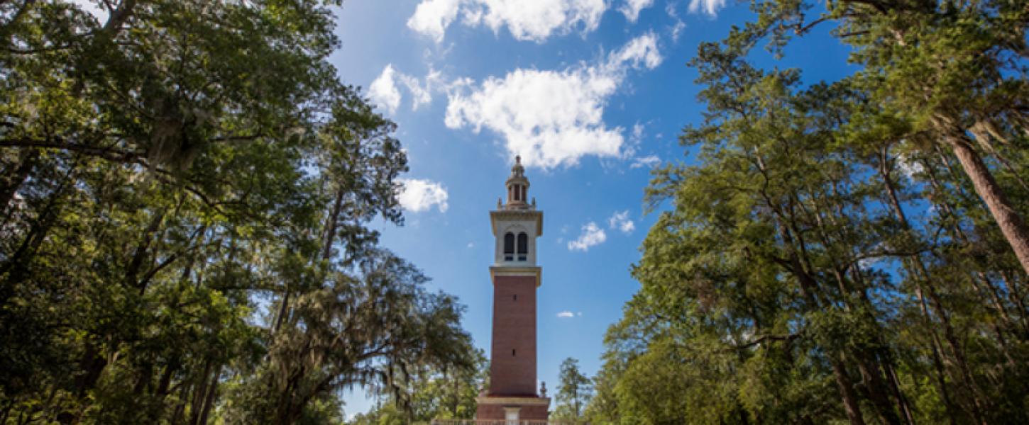 a brick tower stands amongst pine trees under a blue sky