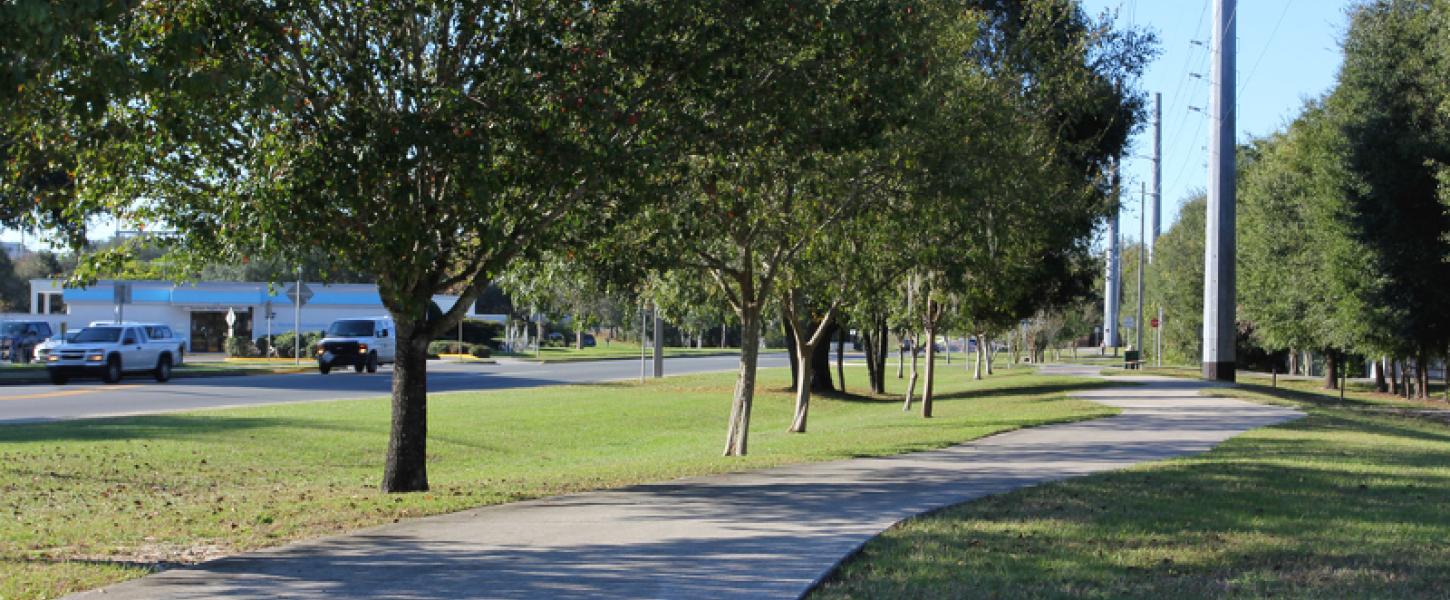 a paved path winds past trees in a small town