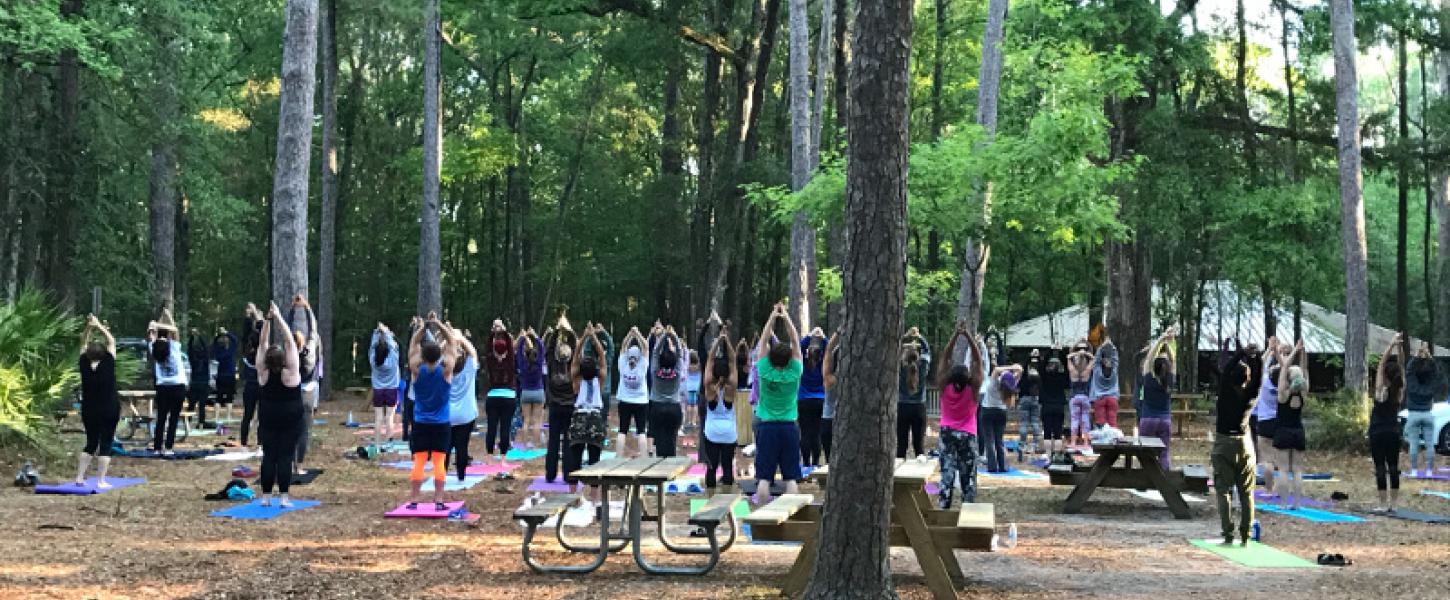 a large group of people do a yoga pose underneath a canopy of trees
