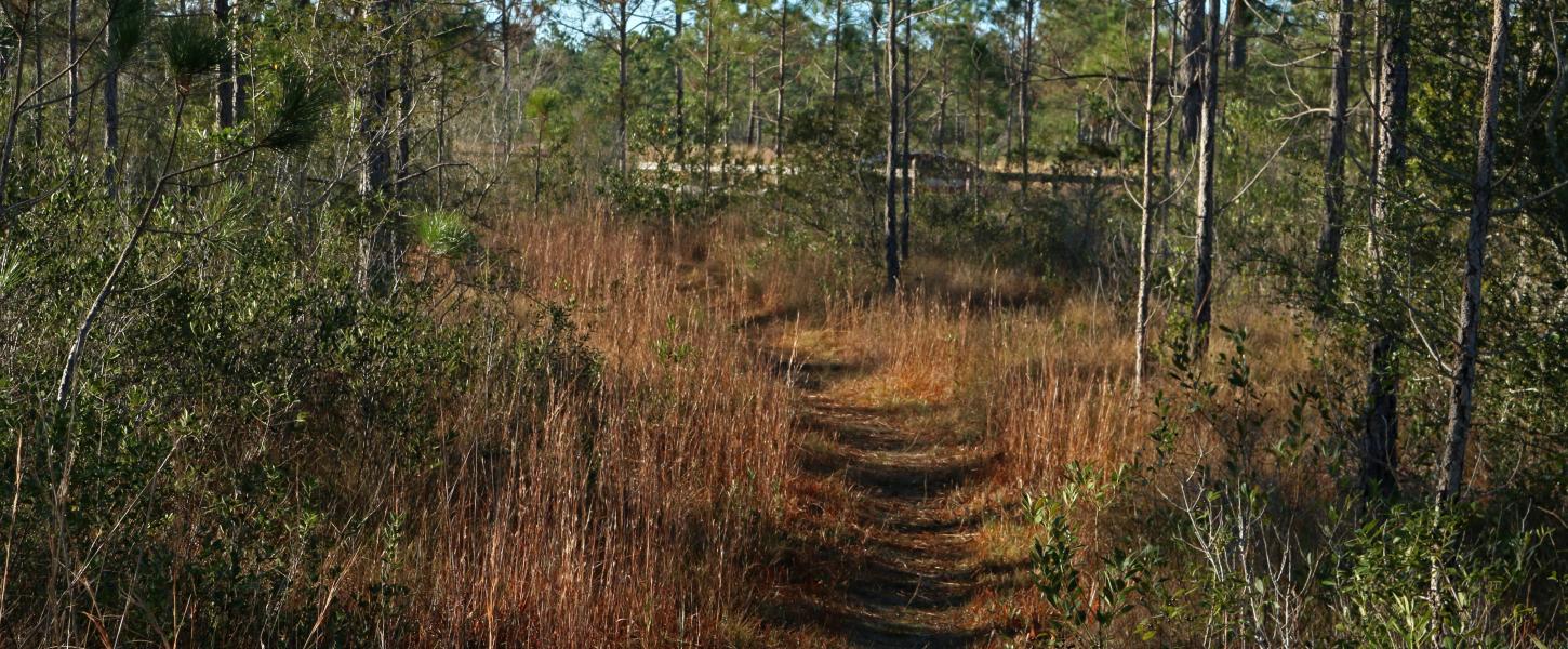 Yellow River Walking Trail