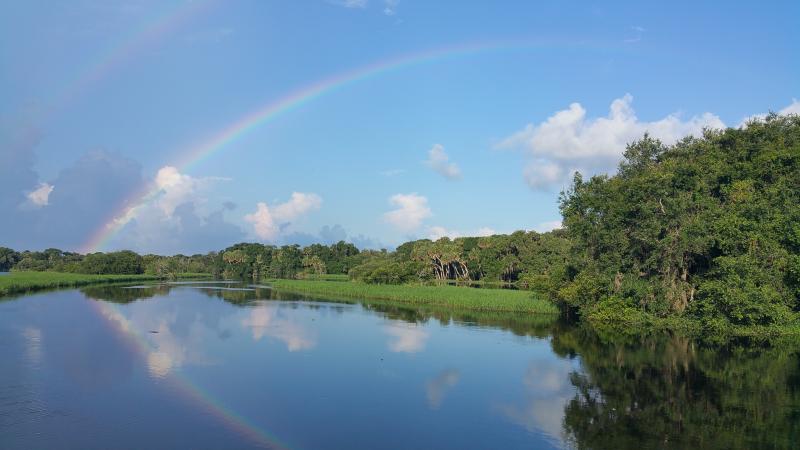 Myakka River