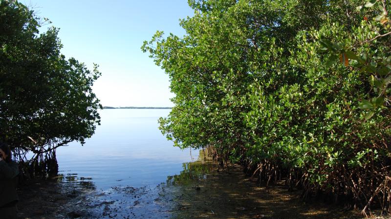 Mound Key Archaeological State Park