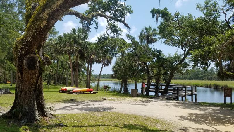 Bulow Plantation Kayak Rentals