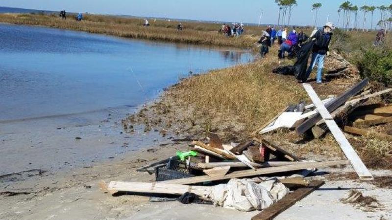 Volunteers walk the shoreline stacking piles of debris. 