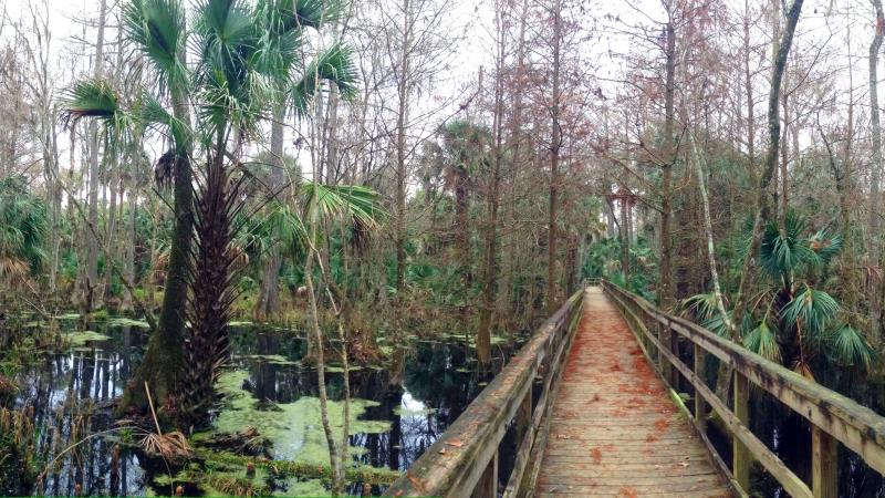 Silver Springs State Park | Florida State Parks