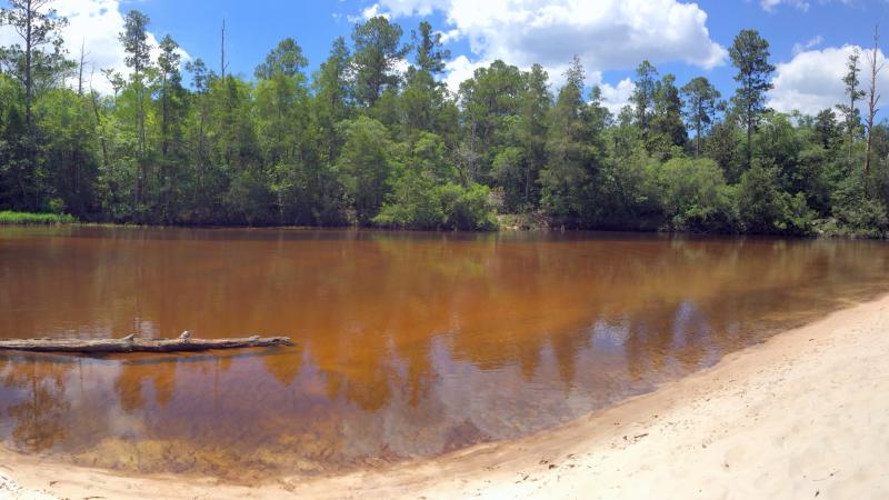 Geo, soil, trees, sediment, ecosystem