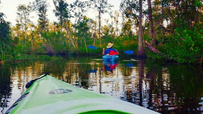 Ochlockonee River State Park Florida State Parks
