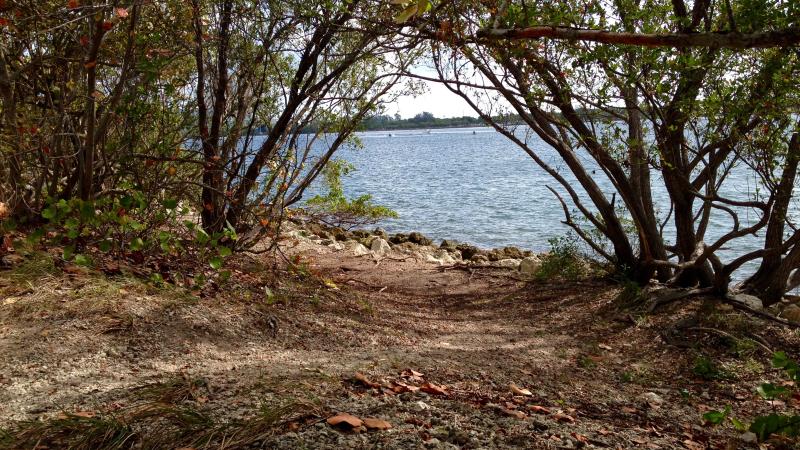 A view of a trail by the water.