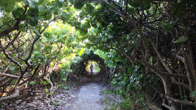 MacArthur Beach Trail