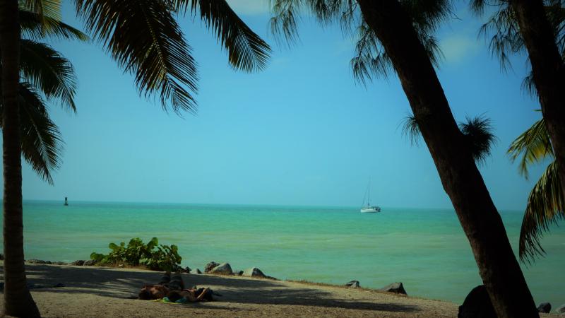 A view of the water at Fort Zachary Taylor between the trees.