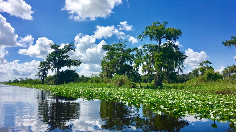 Blue Spring State Park