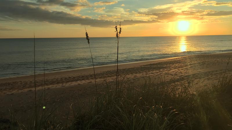 A view of the beach at sunset.