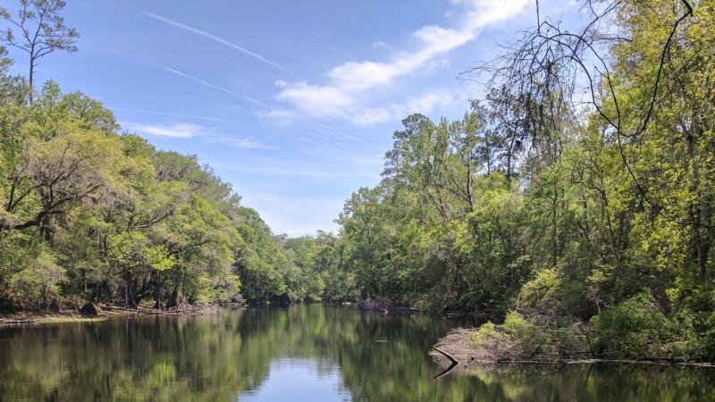 A view of the Santa Fe River at River Rise Preserve State Park. 