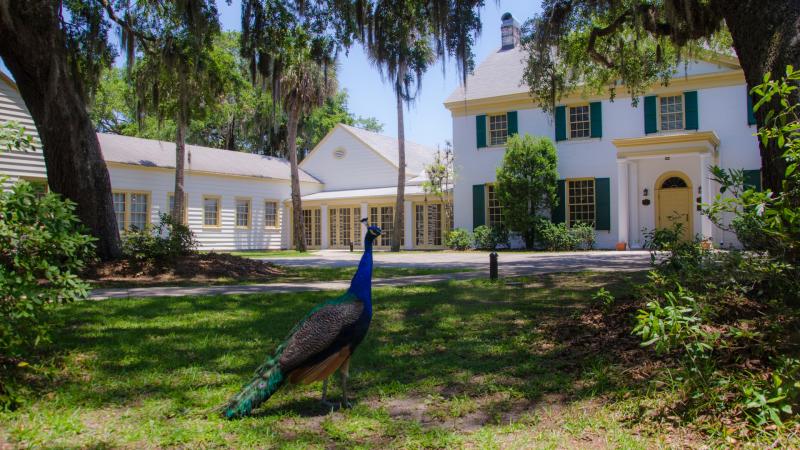 The Ribault Clubhouse