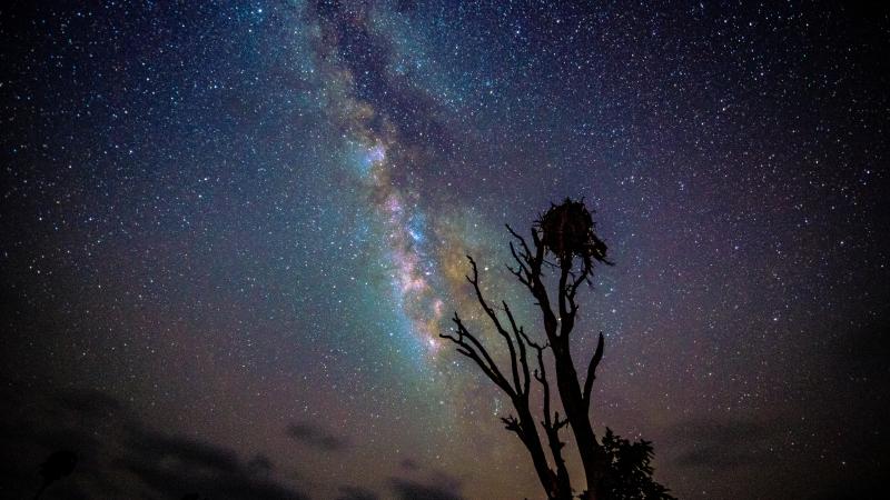 Kissimmee Prairie Preserve State Park