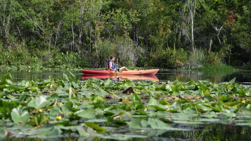 Man paddling in a kayak at Lake Griffin