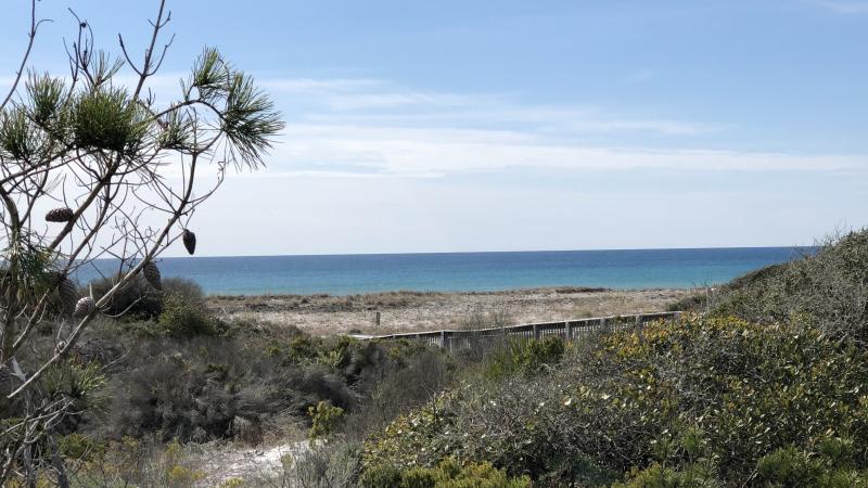 A sandy trail leading to the beach.