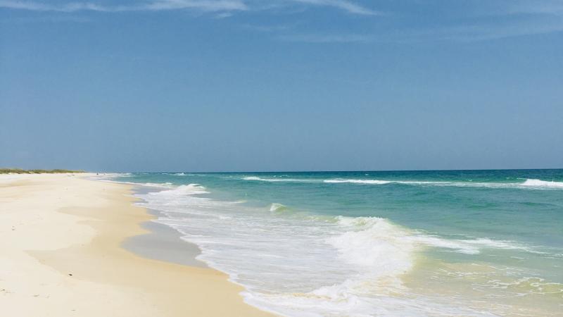 An emerald coast at Dr. Julian G. Bruce St. George Island State Park.