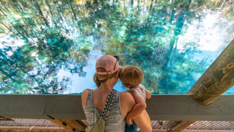 Family Viewing River From Boardwalk