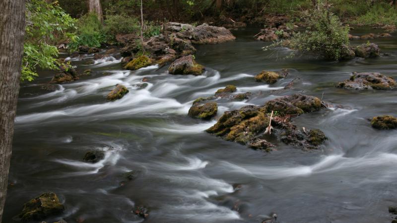 Hillsborough River Rapids
