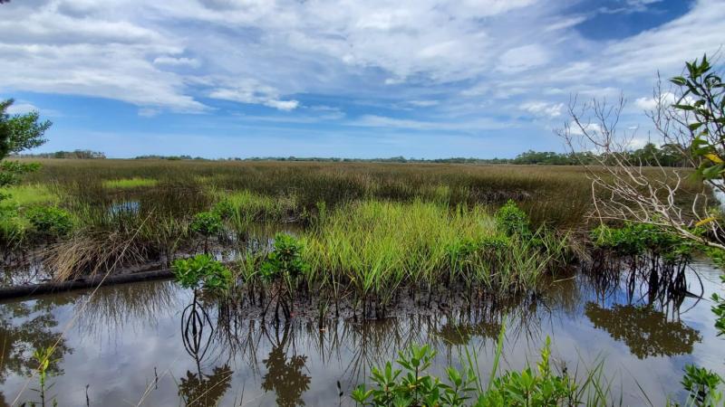 Crystal River Preserve State Park