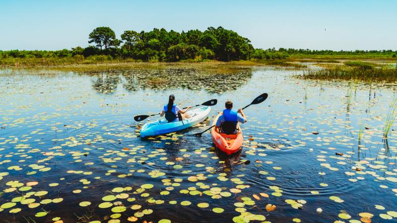 Paddling at Savannas