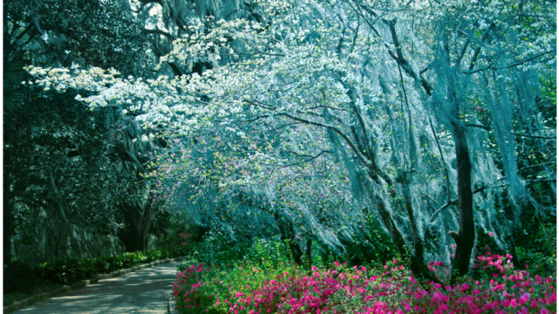 The stamp photograph shows a walkway with pink and white flowers at Maclay Gardens. 