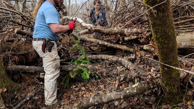 Two Volunteers from Atlanta Botanical Gardens remove Hurricane Michael debris from a Torreya tree