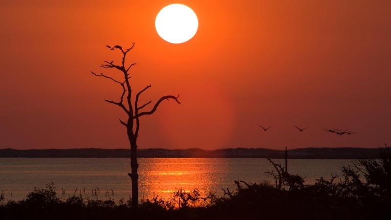 Friends of Pensacola State Parks